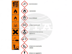 Снимка: Община Стара Загора