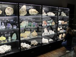 Снимка: Исторически музей – Дряново