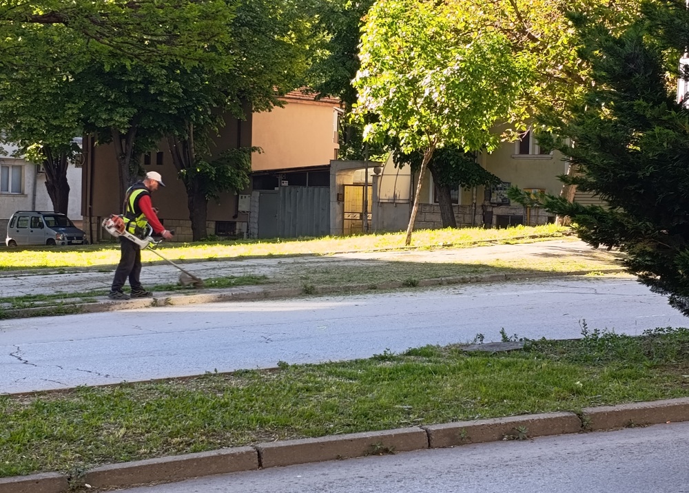 Днес се коси в кварталите Тракия, Боян Българанов и около „Арена Шумен“, зацветяване се извършва в Студентски парк