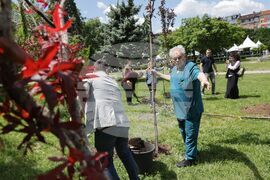 Сдружение „Българска асоциация болест на Крон и улцерозен колит“ - дървета - засаждане