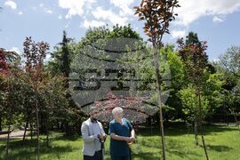 Сдружение „Българска асоциация болест на Крон и улцерозен колит“ - дървета - засаждане