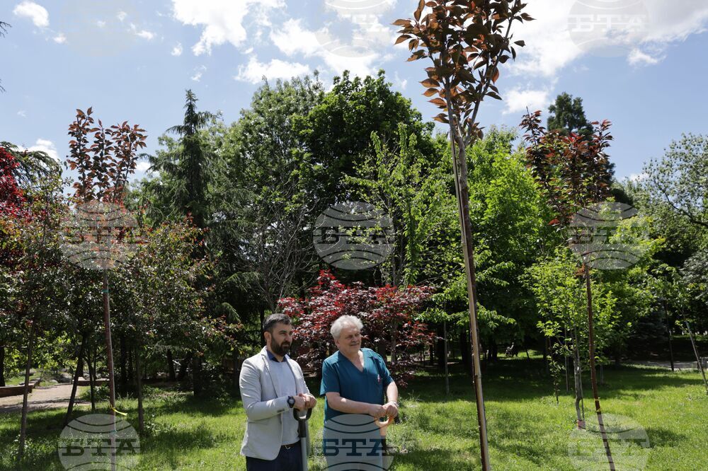 Късно се диагностицират пациентите с възпалителни чревни заболявания, каза проф. Пламен Пенчев