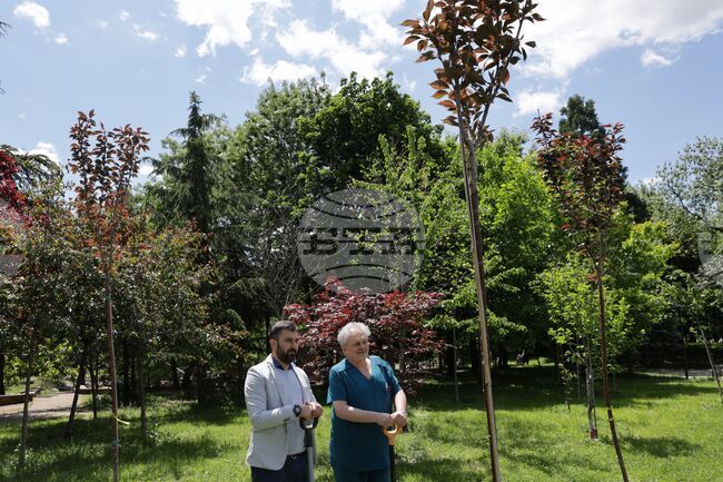 Късно се диагностицират пациентите с възпалителни чревни заболявания, каза проф. Пламен Пенчев