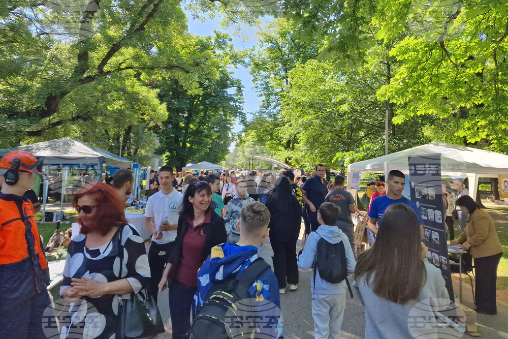 Монтана - панорама - средно образование - училища