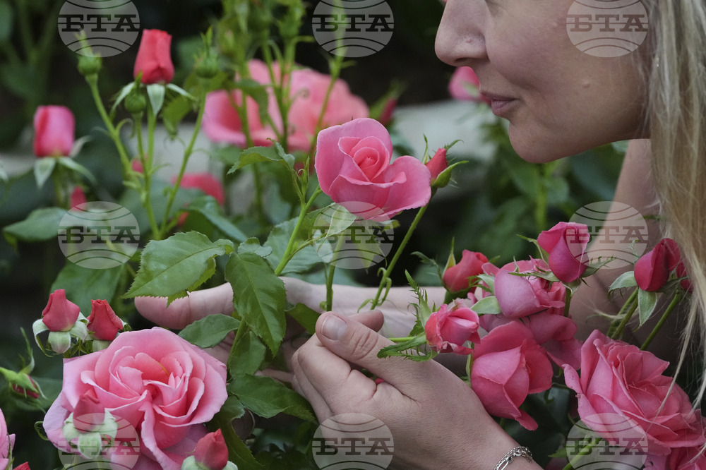 Britain Chelsea Flower Show