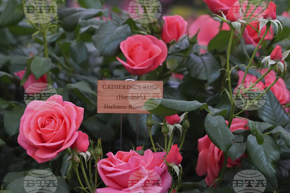 Britain Chelsea Flower Show