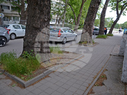 Снимка: Община Варна