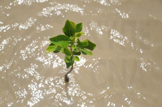 КНА: Срещата на върха на Зелената програма в Кипър се фокусира върху предизвикателствата, свързани с климата, водата и транспорта