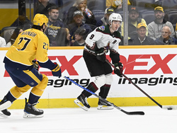 Coyotes Predators Hockey