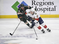 Panthers Wild Hockey