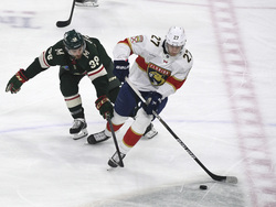 Panthers Wild Hockey