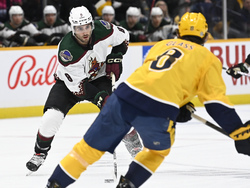 Coyotes Predators Hockey
