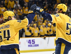 Coyotes Predators Hockey