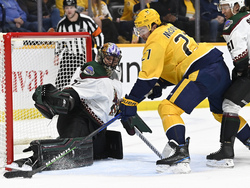 Coyotes Predators Hockey