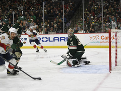 Panthers Wild Hockey