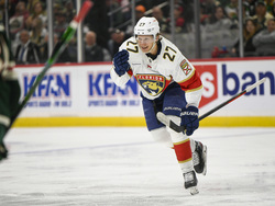 Panthers Wild Hockey