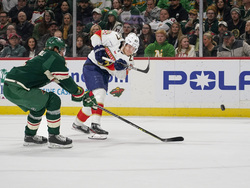 Panthers Wild Hockey