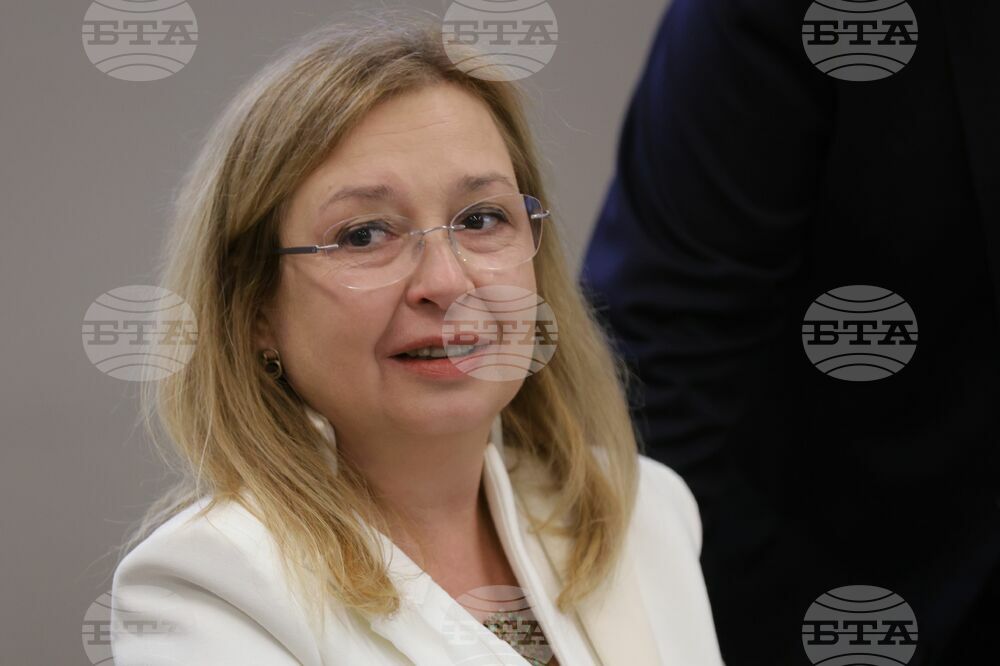 Председателят на ИСС Зорница Русинова смята, че е нужен устойчив модел на трудова миграция
