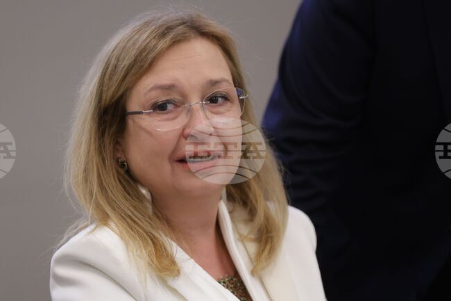 Председателят на ИСС Зорница Русинова смята, че е нужен устойчив модел на трудова миграция