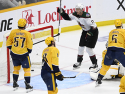 Coyotes Predators Hockey