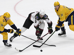 Coyotes Predators Hockey
