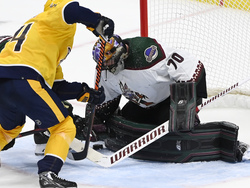 Coyotes Predators Hockey