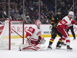 Red Wings Canucks Hockey