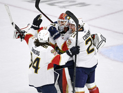 Panthers Wild Hockey