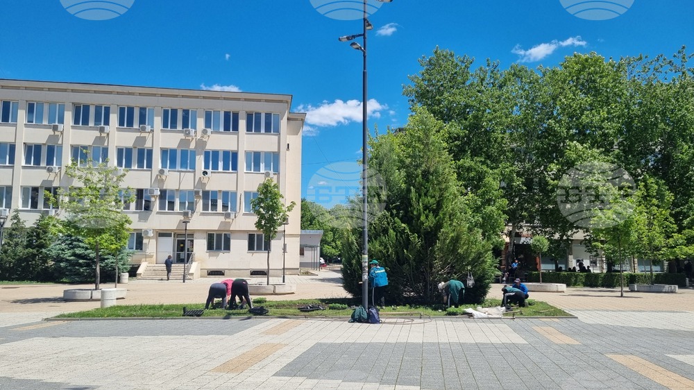 Близо 100 души повече са започнали работа в област Търговище през април спрямо предходния месец