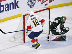 Panthers Wild Hockey
