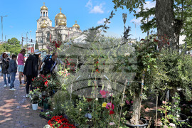 Варна - Фестивал на цветята „Флора Варна“