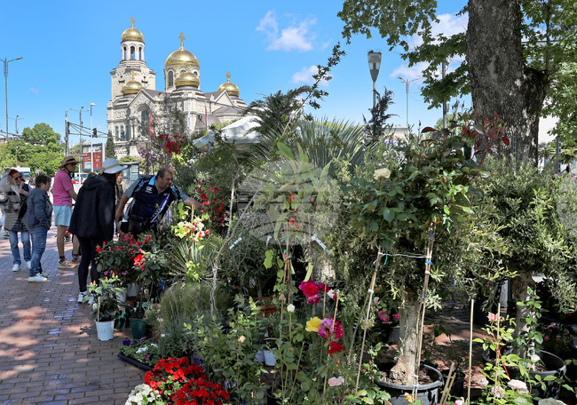 Варна - Фестивал на цветята „Флора Варна“ 