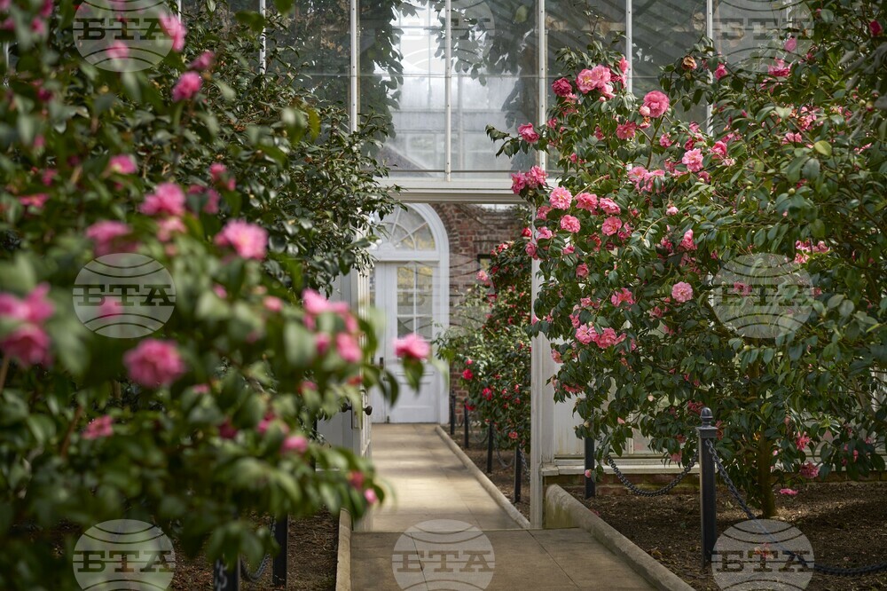 Gardening-Planting Fields Arboretum