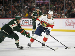 Panthers Wild Hockey