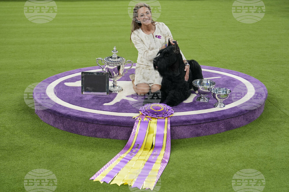 Westminster Dog Show