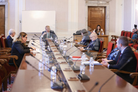 Народно събрание - Временна комисия за разпределението на наркотични вещества - заседание