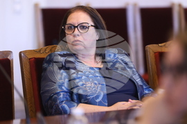 Народно събрание - Временна комисия за разпределението на наркотични вещества - заседание