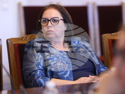 Народно събрание - Временна комисия за разпределението на наркотични вещества - заседание