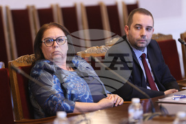 Народно събрание - Временна комисия за разпределението на наркотични вещества - заседание