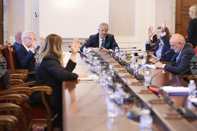 Народно събрание - Временна комисия за разпределението на наркотични вещества - заседание