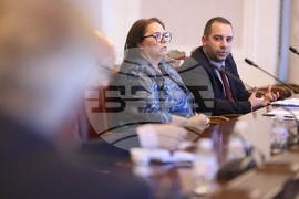 Народно събрание - Временна комисия за разпределението на наркотични вещества - заседание