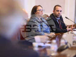 Народно събрание - Временна комисия за разпределението на наркотични вещества - заседание