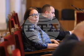 Народно събрание - Временна комисия за разпределението на наркотични вещества - заседание