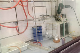 БАН - Институт по полимери - Ерик Димитров