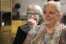 Радина Червенова - роман - представяне