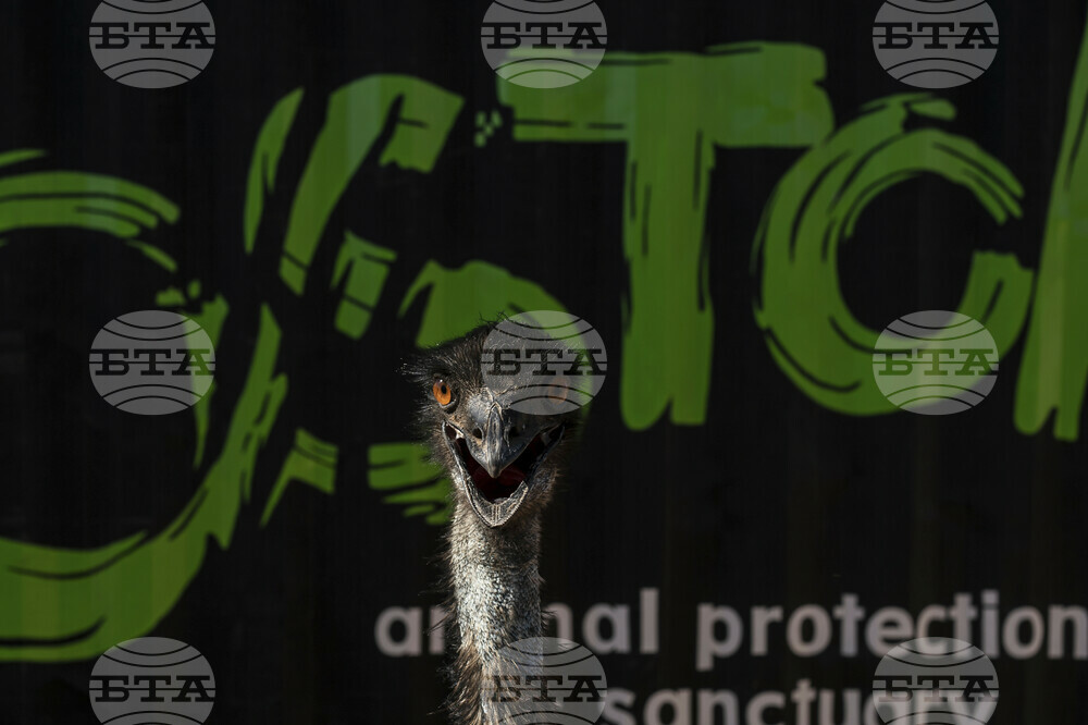 Mexico Violence Animal Refuge Photo Gallery