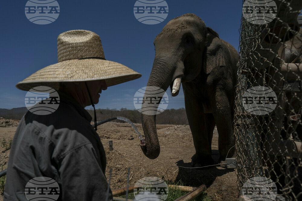 Mexico Violence Animal Refuge Photo Gallery