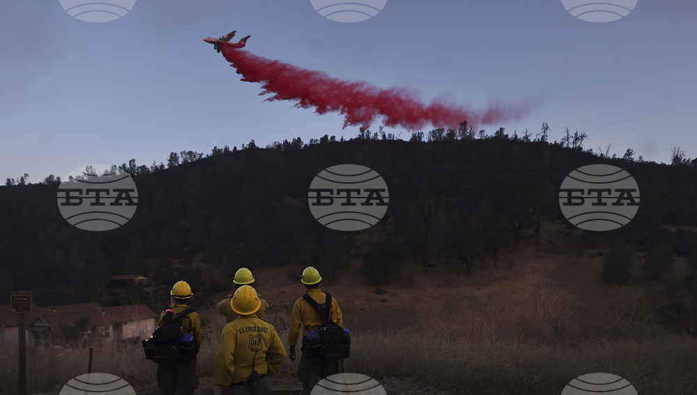 Trump Wildfires