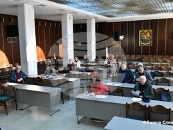 Експерти от Лесотехническия университет да изследва жизнеността на Стария бряст, реши Обществения съвет