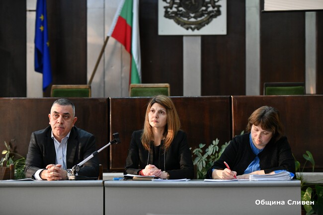 Община Сливен: Експерти от Лесотехническия университет да изследва жизнеността на Стария бряст, реши Обществения съвет